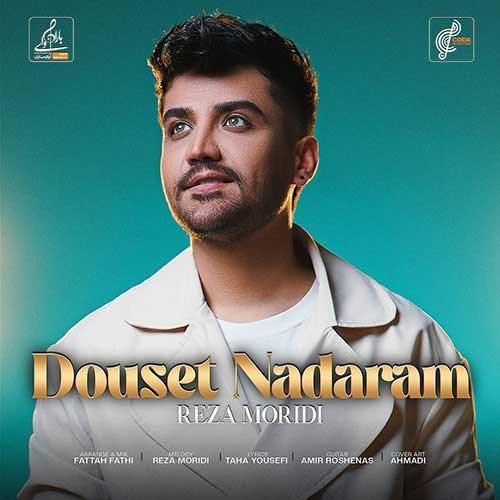 دانلود آهنگ رضا مریدی بنام دوست ندارم