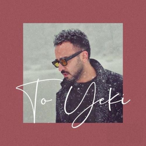 دانلود آهنگ پدرام شانه ساز بنام تو یکی