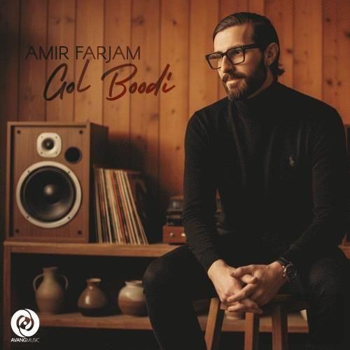 دانلود آهنگ امیر فرجام بنام گل بودی