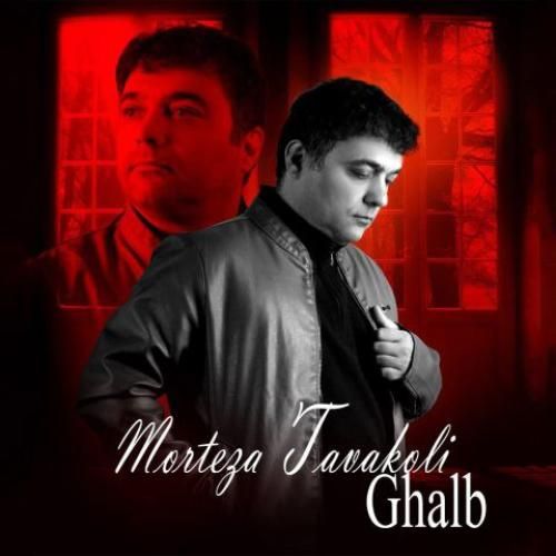 دانلود آهنگ مرتضی توکلی بنام قلب
