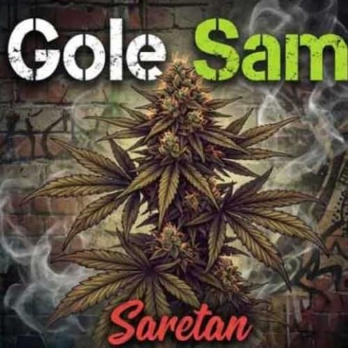 دانلود آهنگ آرش سرطان بنام گل سم