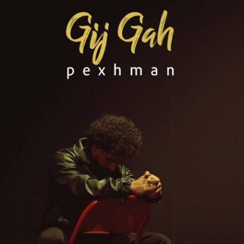 دانلود آهنگ پژمان بنام گیجگاه