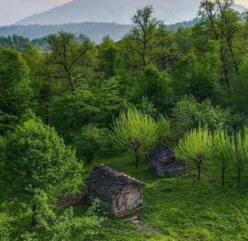 آهنگ با پای پیاده زدم توی قلب اجتماع نمیدونستم 