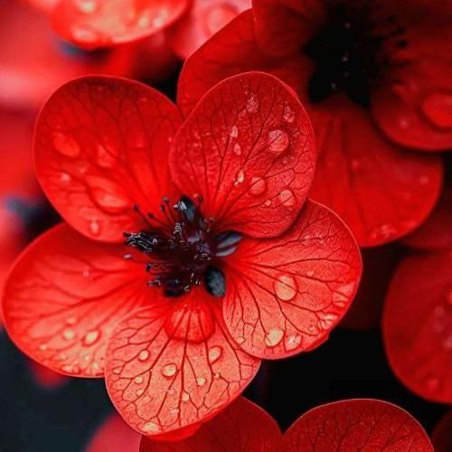 آهنگ تنها اکسی که من میخام پول اضافیه 