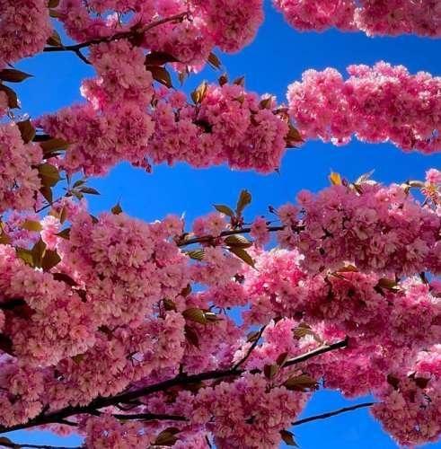 آهنگ چقد عوض شدی دیگه مثل قبلنا نمیخندی 