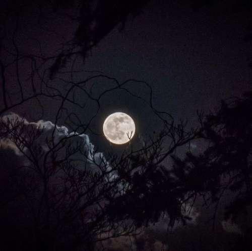 دانلود آهنگ به ما که رسید بد شد تلخ شد سخت شد