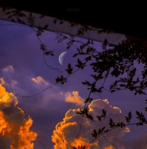 دانلود آهنگ زخممو دیدی نشدی دوای دردم فقط تو بهم زدی لبخند